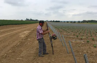 Palissage de vignes avec enfonce-pieux Easy CHPD